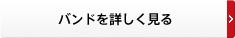 バンドを詳しく見る