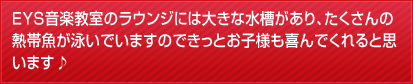 EYS音楽教室のラウンジには大きな水槽があり、たくさんの熱帯魚が泳いでいますのできっとお子様も喜んでくれると思います♪