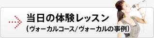 当日の体験レッスン（ヴォーカルコース/ヴォーカルの事例）