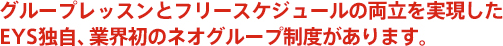 グループレッスンとフリースケジュールの両立を実現したEYS独自、業界初のネオグループ制度があります。